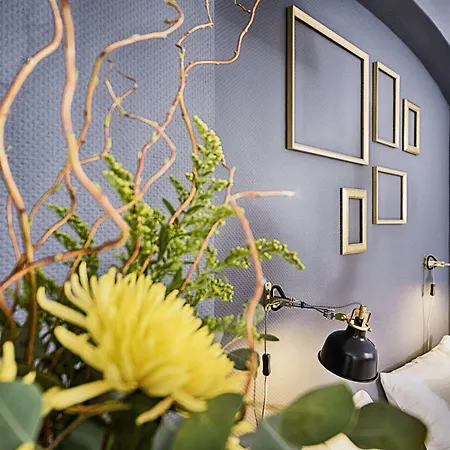 旧城区酒店式公寓 *